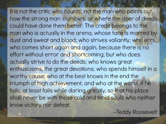 teddy-roosevelt-daring-quote